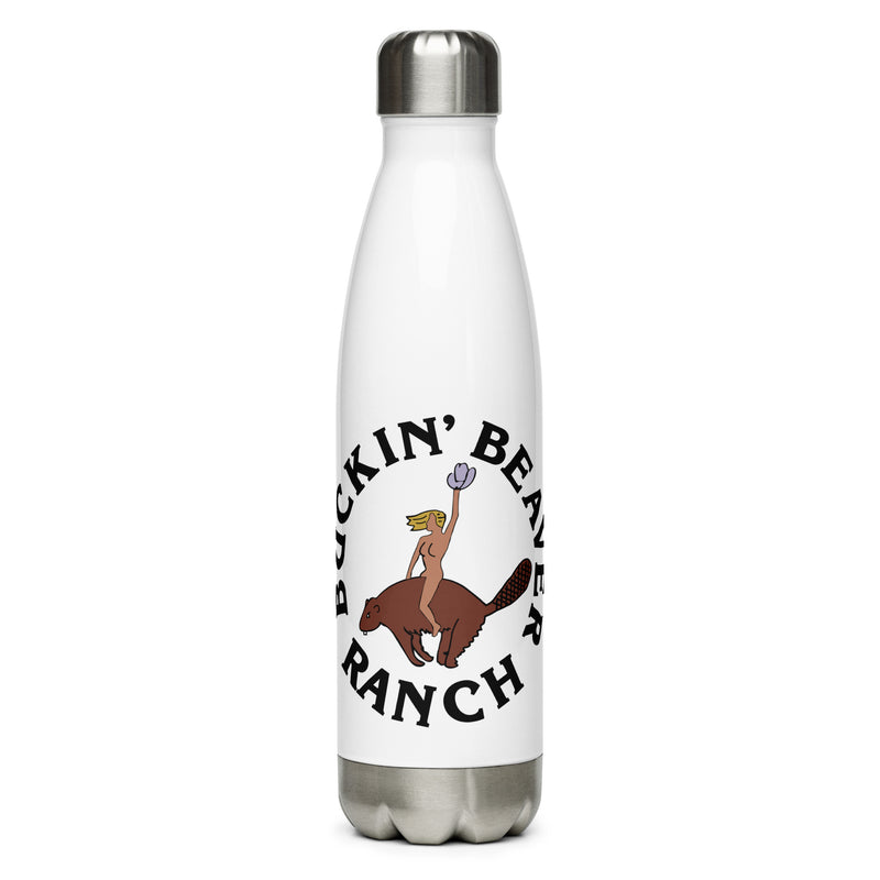 Stainless Steel Water Bottle