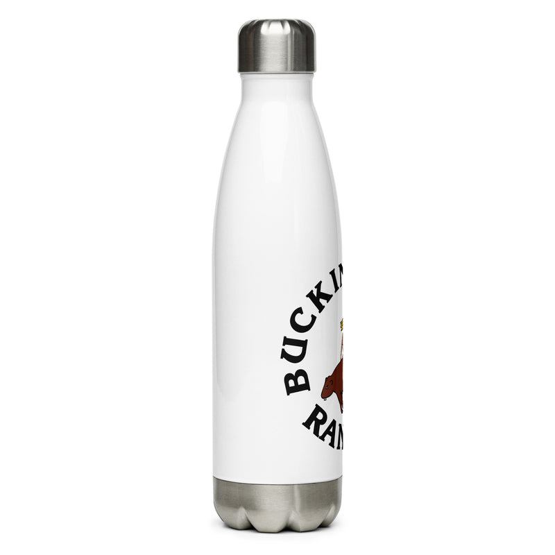 Stainless Steel Water Bottle
